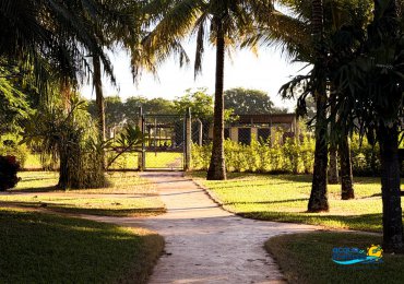 Pousada Tropical Vereda - Fotos